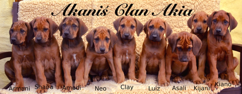 Gruppenfoto Akanis Clan Akia (A-Wurf)