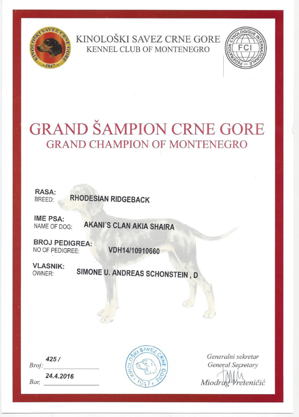 Shaira Grand Champion of Montenegro