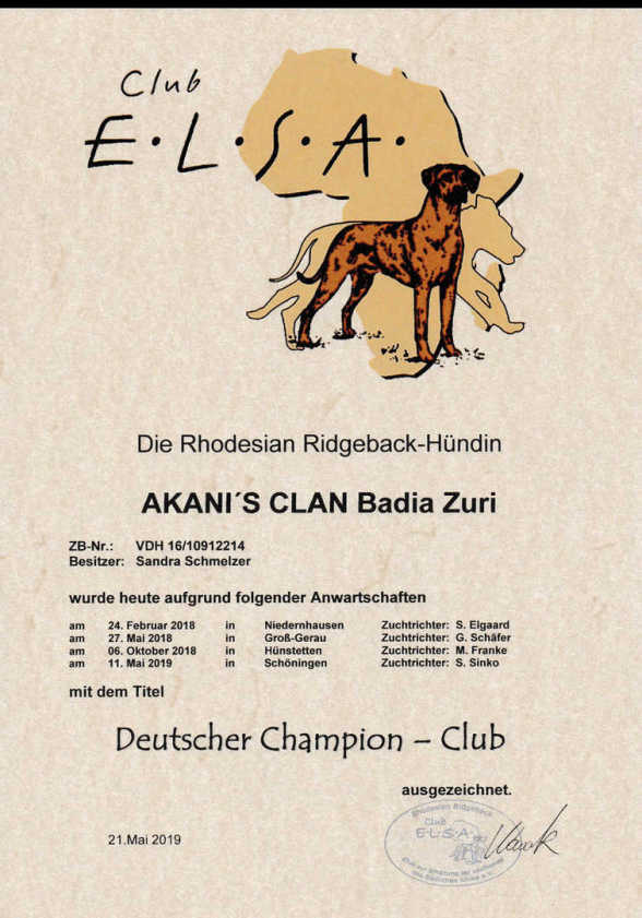Zuri Champion Club Elsa