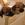 Rhodesian Ridgeback Welpen in der Welpenbox