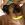 Rhodesian Ridgeback Welpe vom Weltsieger und Multi Champion